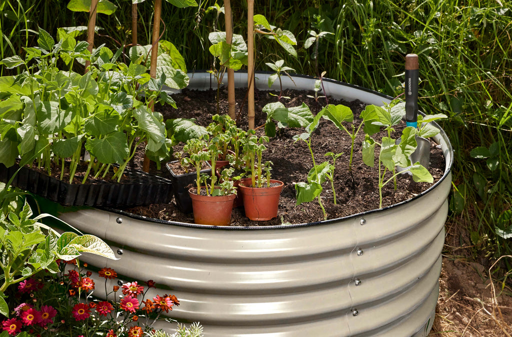 Selecting the Right Material for Your Raised Bed Garden