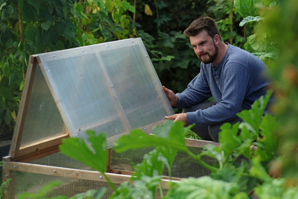 7 Ways to Use a Cold Frame