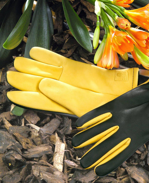 Dry Touch™ Gloves